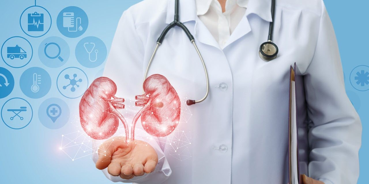 Provider with a graphic of a kidney